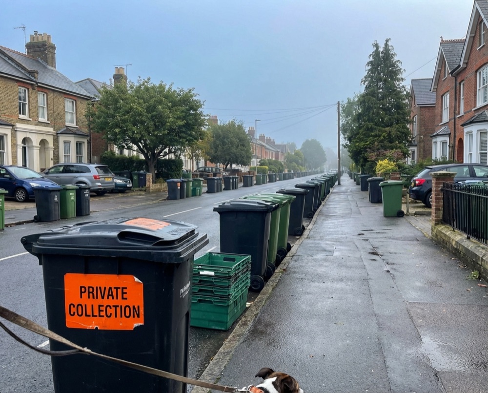Residential street with bins in Worthing awaiting collection